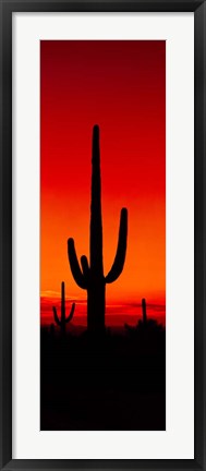 Framed Silhouette of Saguaro Cactus, Arizona Print