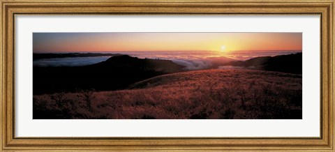 Framed Santa Cruz Mountains, CA Print