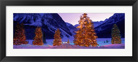 Framed Christmas Trees, Lake Louise, Alberta, Canada Print