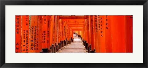 Framed Tunnel of Torii Gates, Fushimi Inari Shrine, Japan Print