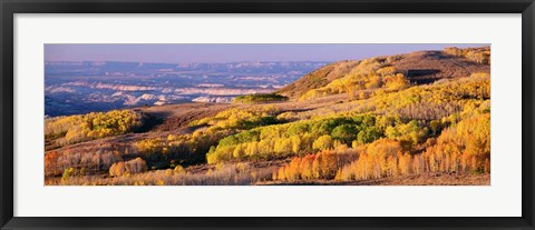 Framed Aspens Dixie National Forest, Utah Print