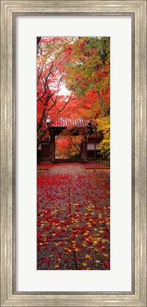Framed Komyoji Temple, Kyoto, Japan Print