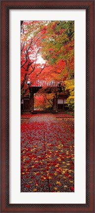 Framed Komyoji Temple, Kyoto, Japan Print