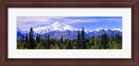 Framed Denali National Park, Alaska Print