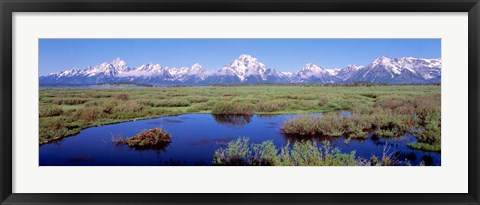 Framed Grand Teton Park, Wyoming (color) Print