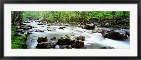 Framed Great Smoky Mountains, Tennessee Print