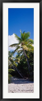 Framed US Virgin Islands Print