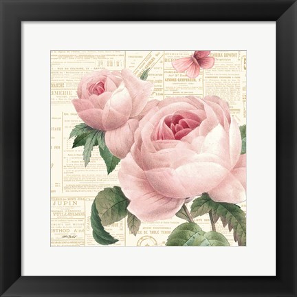 Framed Roses in Paris VI Print