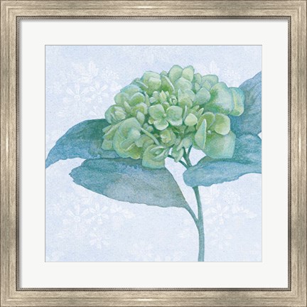 Framed Blue Hydrangea II Crop Print