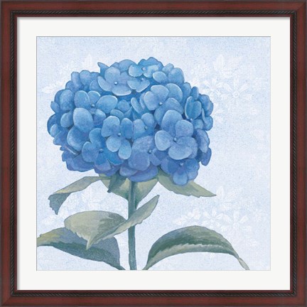 Framed Blue Hydrangea III Crop Print