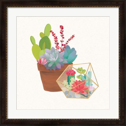 Framed Succulent Garden II Print