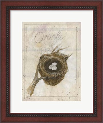 Framed Nest - Oriole Print