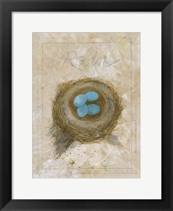 Framed Nest - Robin Print