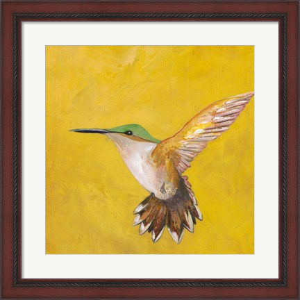 Framed Sweet Hummingbird II Print
