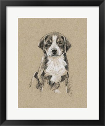 Framed Breed Sketches II Print