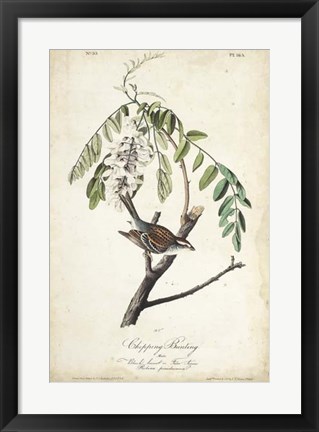 Framed Delicate Bird and Botanical I Print