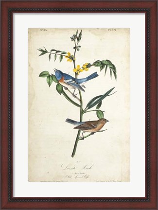 Framed Delicate Bird and Botanical IV Print