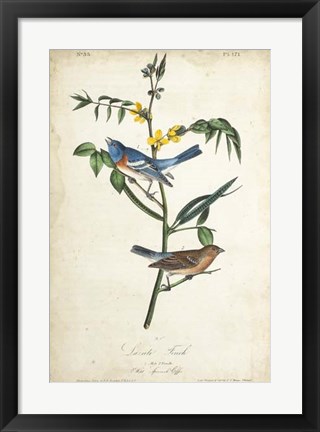Framed Delicate Bird and Botanical IV Print