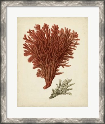 Framed Antique Red Coral V Print