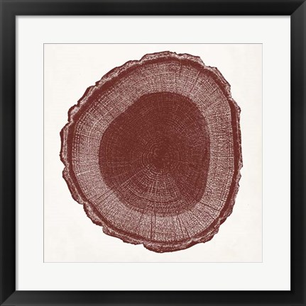 Framed Tree Ring I Print
