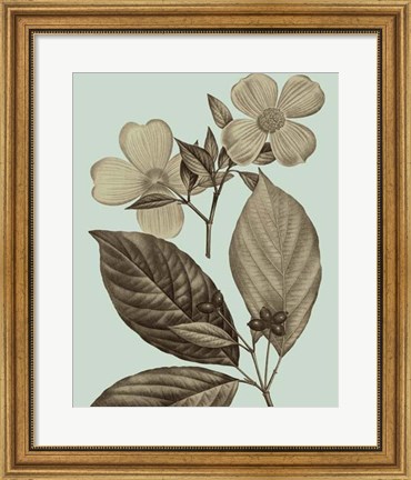 Framed Flowering Trees III Print