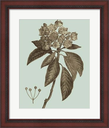 Framed Flowering Trees V Print