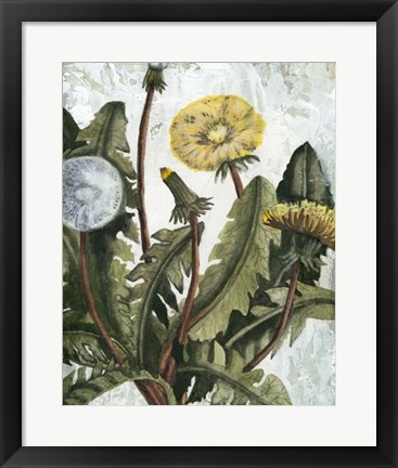 Framed Dandelion Patina I Print