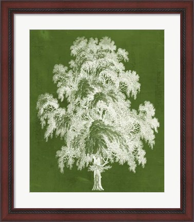 Framed Modern Arbor II Print