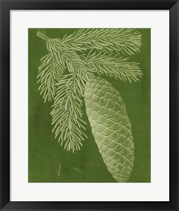 Framed Modern Pine IV Print