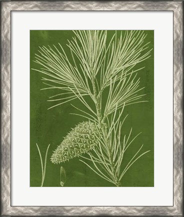 Framed Modern Pine V Print