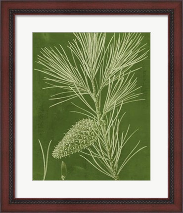 Framed Modern Pine V Print