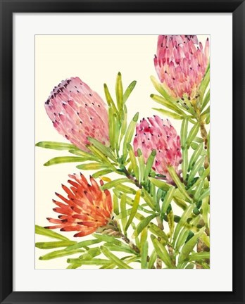 Framed Watercolor Tropical Flowers I Print