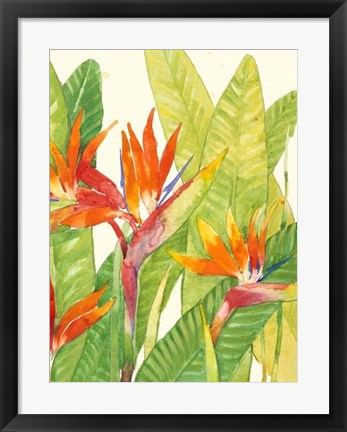 Framed Watercolor Tropical Flowers IV Print
