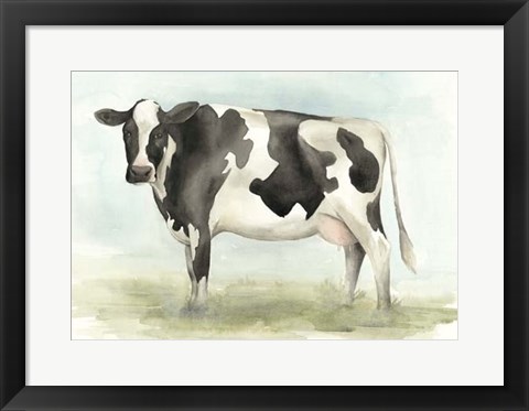 Framed Watercolor Cow II Print