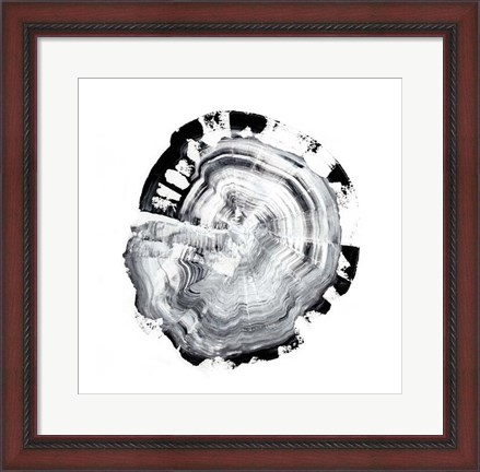Framed Tree Ring Abstract III Print