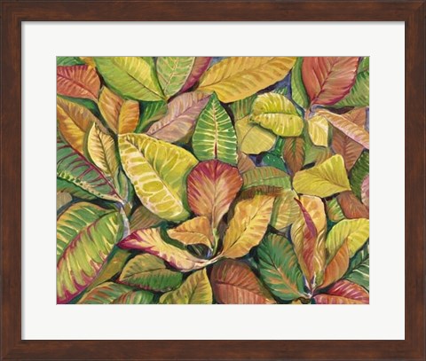 Framed Tropical Close Up II Print