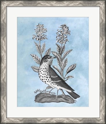 Framed Bird on Blue I Print