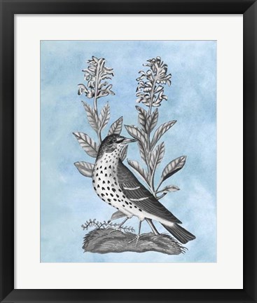 Framed Bird on Blue I Print