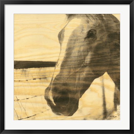 Framed Portrait of a Horse Print