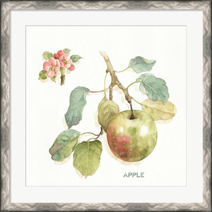 Framed Orchard Bloom I Print