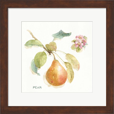 Framed Orchard Bloom II Print