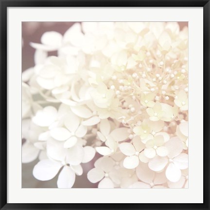 Framed Hydrangea Dream II Print