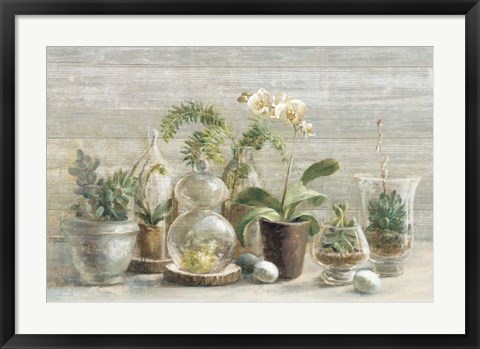 Framed Greenhouse Orchids on Wood Print