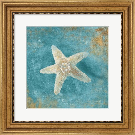 Framed Treasures from the Sea IV Aqua Print