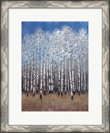 Framed Cobalt Birches II Print