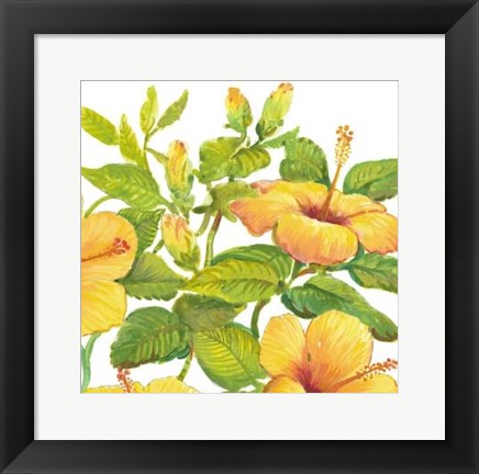 Framed Watercolor Hibiscus II Print