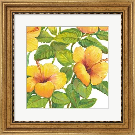 Framed Watercolor Hibiscus IV Print