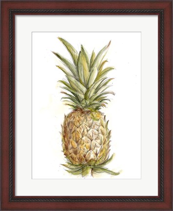 Framed Pineapple Sketch II Print