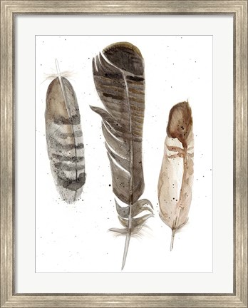 Framed Earthtone Feathers I Print