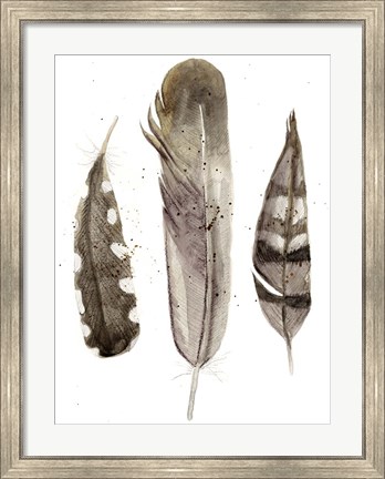 Framed Earthtone Feathers II Print